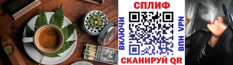 Canna-Cookies конопля  где найти   Москва 
