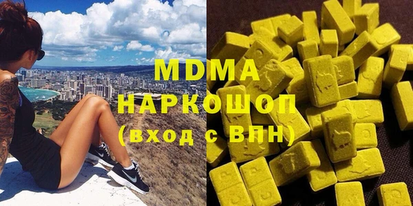 гашик Алексин