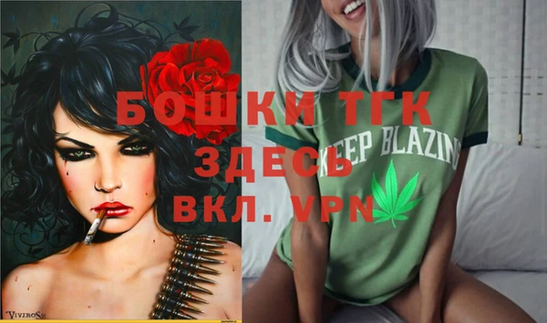 гашик Алексин