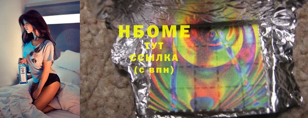 гашик Алексин