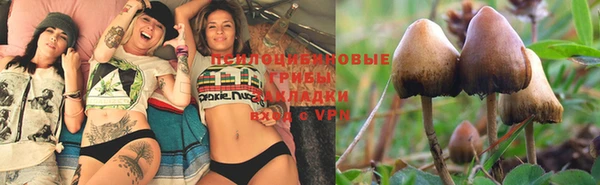 индика Алексеевка